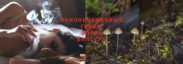 героин Михайлов