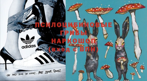 каннабис Долгопрудный