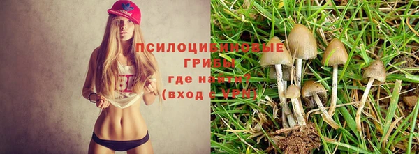 каннабис Долгопрудный