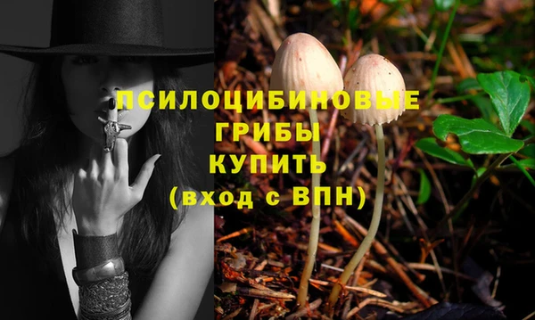хмурый Навашино