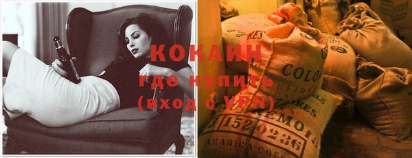 дживик Михайловск