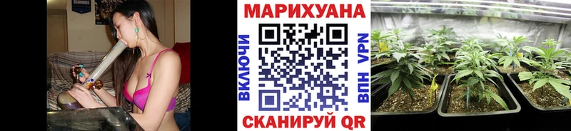 Каннабис OG Kush Калач